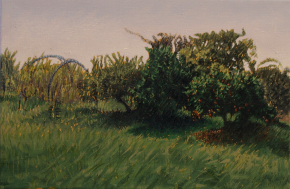 fruit trees