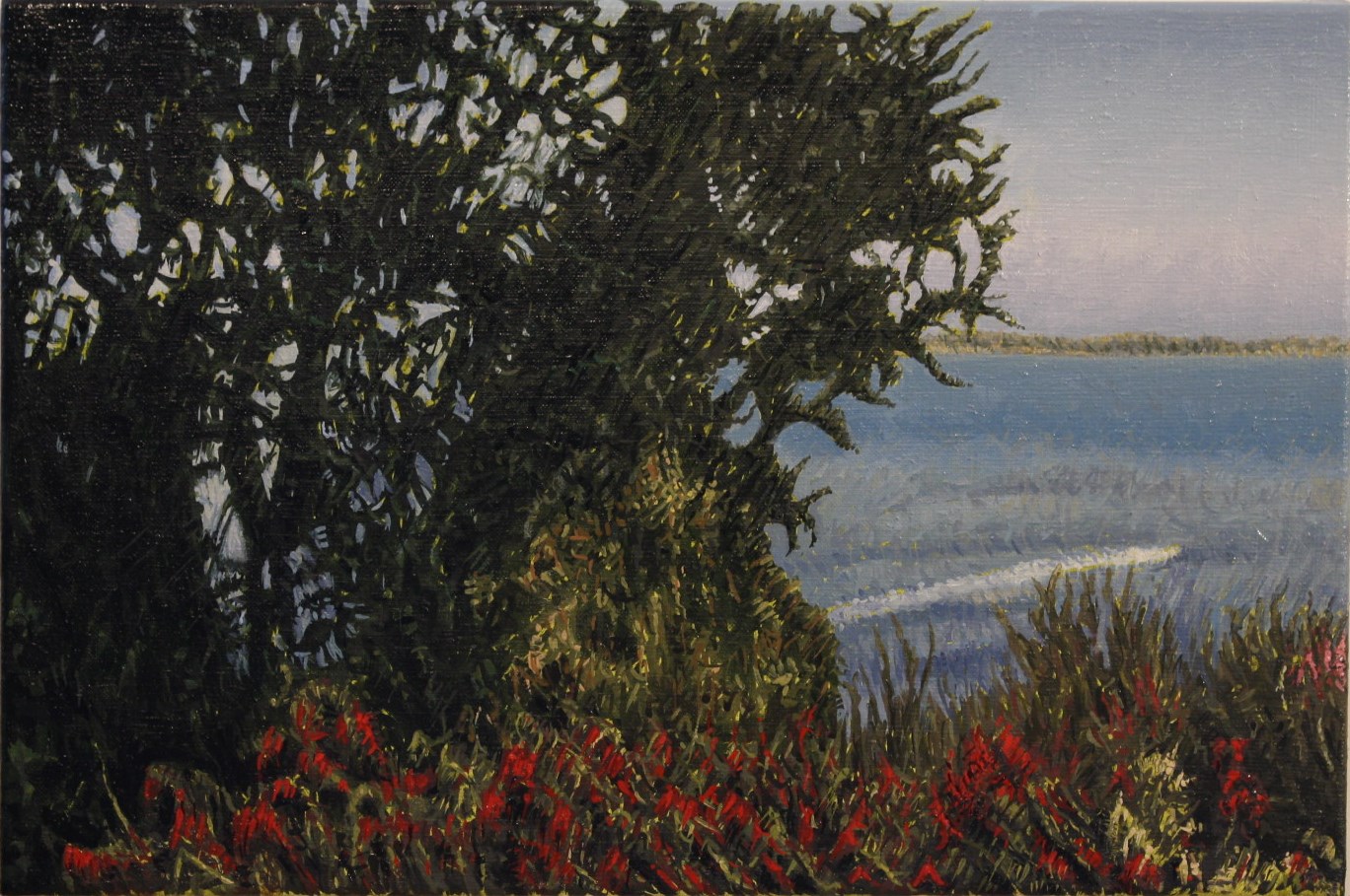near the water