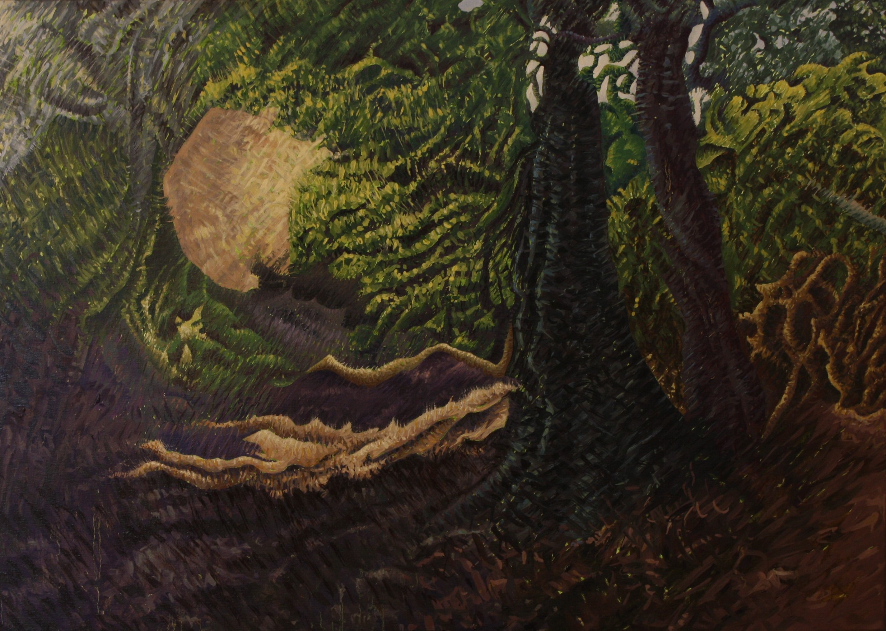 Gallery 2019